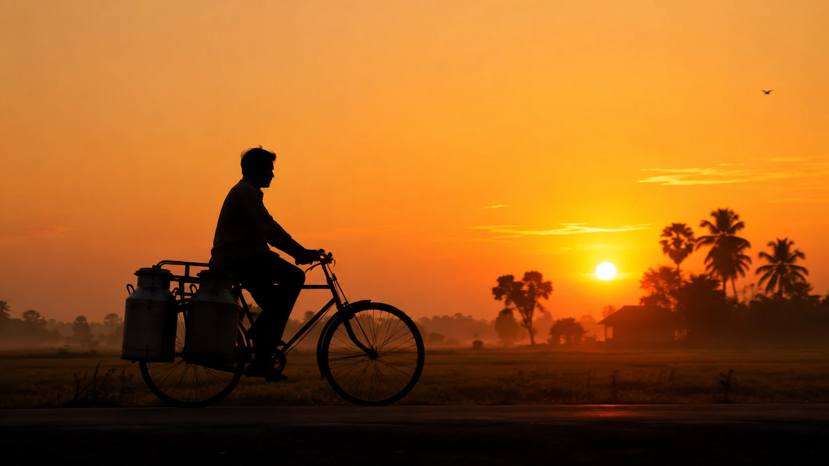 A milkman cycling home before sunrise in the fields of Lakhimpur Kheri